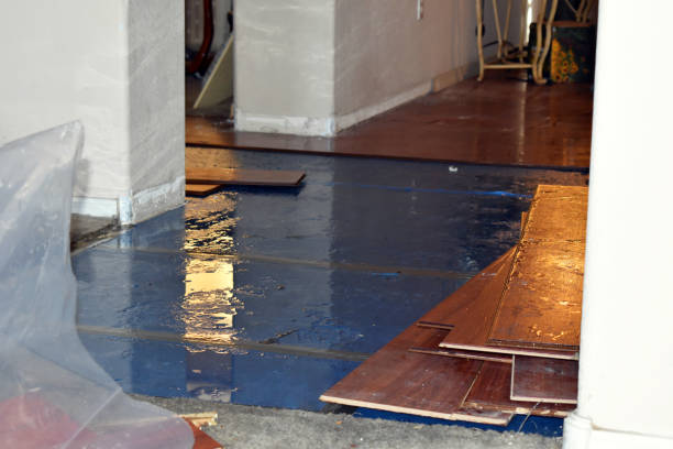 Professional Flood Damage Repair technician working in Yancey, TX